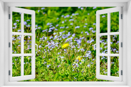 Fototapeta Naklejka Na Ścianę Okno 3D - green summer meadow abstract texture with flowers