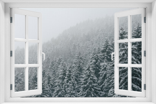 Fototapeta Naklejka Na Ścianę Okno 3D - Snowy forest