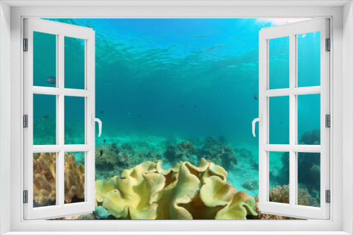 Fototapeta Naklejka Na Ścianę Okno 3D - Tropical coral reef. Scene reef. Marine life sea world. Underwater fish reef marine. Philippines.