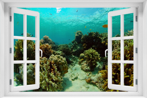 Fototapeta Naklejka Na Ścianę Okno 3D - Tropical fishes and coral reef underwater. Hard and soft corals, underwater landscape. Philippines.