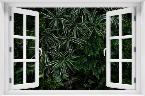 Fototapeta Naklejka Na Ścianę Okno 3D - fern and plant decorate on wall