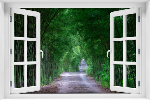 Fototapeta Naklejka Na Ścianę Okno 3D - Bamboo forest.