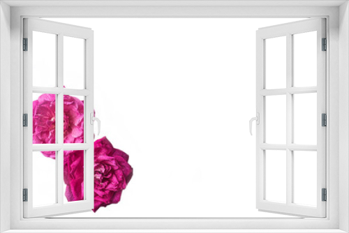 Fototapeta Naklejka Na Ścianę Okno 3D - Marco de rosas rosadas sobre fondo blanco para sitios web, tarjetas del día de la madre, día de la mujer, matrimonios etc. 