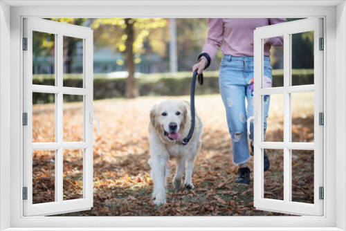 Fototapeta Naklejka Na Ścianę Okno 3D - Woman running with dog in the park.