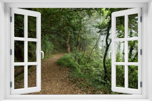 Fototapeta Naklejka Na Ścianę Okno 3D - Üppig grüner nebeliger Wanderweg Pfad - Madeira/Portugal