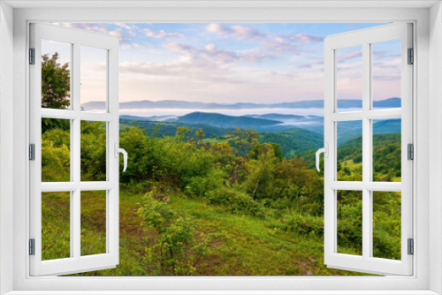 Fototapeta Naklejka Na Ścianę Okno 3D - mountainous rural landscape at sunrise in summer. fog in the distant valley. green plants and trees on the hill. beautiful nature scenery with clouds on the sky