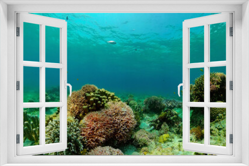 Fototapeta Naklejka Na Ścianę Okno 3D - Underwater tropical colourful soft-hard corals seascape. Underwater fish reef marine. Philippines.
