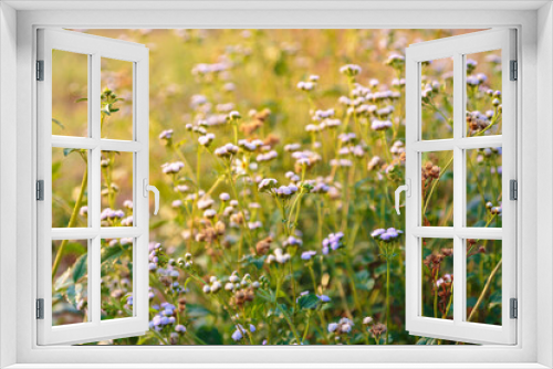 Fototapeta Naklejka Na Ścianę Okno 3D - Spring blossom background. Beautiful nature scene with blooming