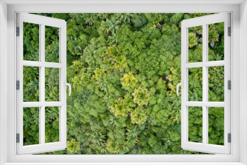 Fototapeta Naklejka Na Ścianę Okno 3D - Drone field of green tree canopy and forest Praslin, Seychelles.