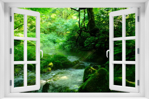Fototapeta Naklejka Na Ścianę Okno 3D - 密林の渓流