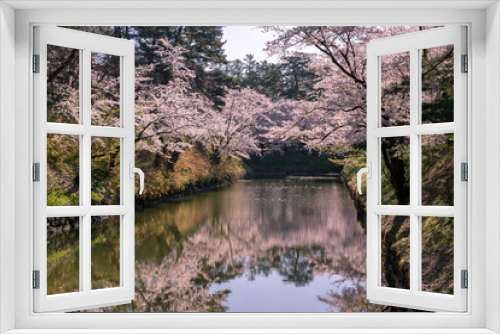 Fototapeta Naklejka Na Ścianę Okno 3D - 弘前市　弘前公園の満開の桜