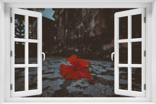 Fototapeta Naklejka Na Ścianę Okno 3D - red maple leaf