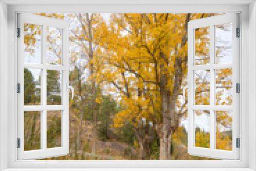 Fototapeta Naklejka Na Ścianę Okno 3D - Autumn in Gudar mountains Teruel Aragon Spain