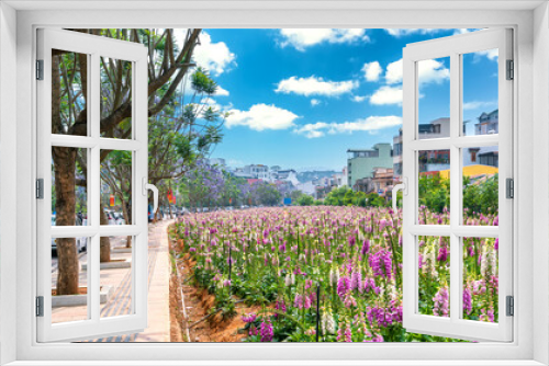 Fototapeta Naklejka Na Ścianę Okno 3D - The foxglove flowers blossoming in the garden of the city park attracts tourists to visit and take photos in the summer morning in Da Lat, Vietnam.