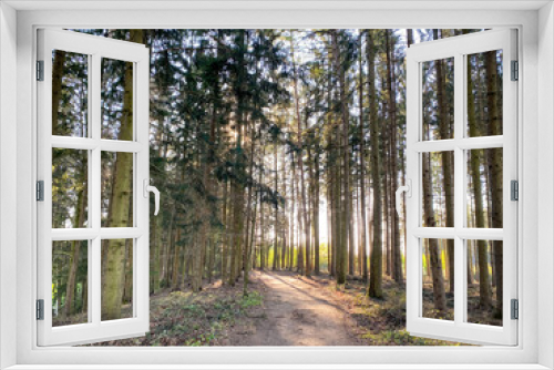 Fototapeta Naklejka Na Ścianę Okno 3D - Bavarian running track through the forest to get a free mind from life