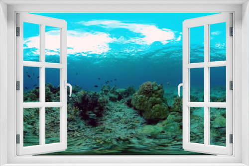Fototapeta Naklejka Na Ścianę Okno 3D - Tropical coral reef. Scene reef. Marine life sea world. Underwater fish reef marine. Philippines. Virtual Reality 360.