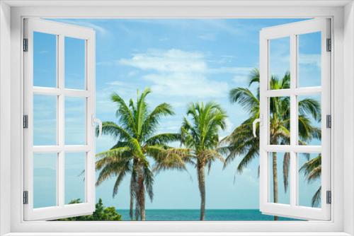 Fototapeta Naklejka Na Ścianę Okno 3D - Blue sky and palm trees in front of the ocean in the Florida Keys
