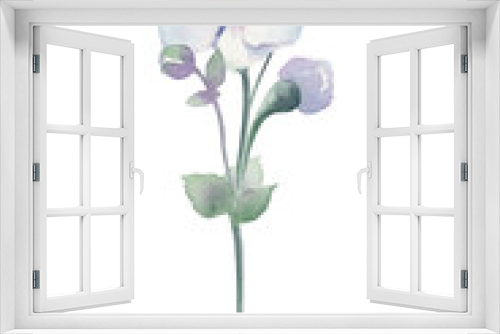 Fototapeta Naklejka Na Ścianę Okno 3D - Hand drawn watercolor anemone sylvestris on white background isolated. Lovely blue anemone flowers, buds, leaves, sprouts. Beautiful flowers for your boho, wedding, seasonal design.