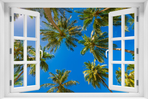 Fototapeta Naklejka Na Ścianę Okno 3D - Beautiful nature pattern, tropical palm tree with sun light on blue sky background. Idyllic, relaxational natural view, leaves with sunny sky. Nature landscape from low point of view. Summer island