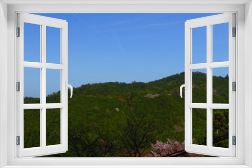 Fototapeta Naklejka Na Ścianę Okno 3D - Panoramic view of Yoshino-yama mountain range, spring fresh green Cedar (Yoshino-sugi), in Nara prefecture, Japan - 吉野杉 吉野山 日本 奈良 パノラマ