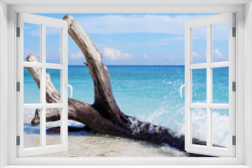 Fototapeta Naklejka Na Ścianę Okno 3D - Blue sea color palette. Log, ocean, beach, sky
