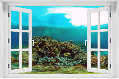 Fototapeta Naklejka Na Ścianę Okno 3D - Underwater Scene Coral Reef. Coral Reefs Seascape. Underwater sea fish. Tropical fish reef marine. Philippines. Virtual Reality 360.