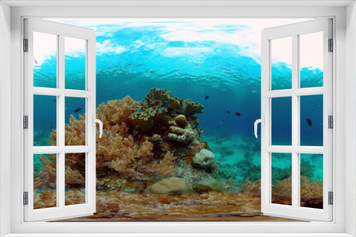 Fototapeta Naklejka Na Ścianę Okno 3D - Underwater fish garden reef. Reef coral scene. Seascape under water. Philippines. Virtual Reality 360.