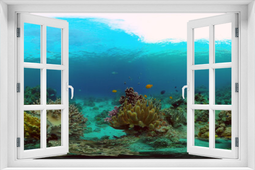 Fototapeta Naklejka Na Ścianę Okno 3D - Coral reef underwater with fishes and marine life. Coral reef and tropical fish. Philippines. Virtual Reality 360.