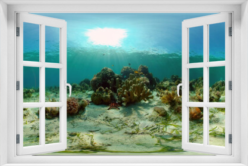 Fototapeta Naklejka Na Ścianę Okno 3D - Tropical fishes and coral reef at diving. Beautiful underwater world with corals and fish. Philippines. 360 panorama VR