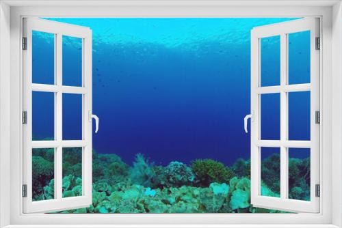 Fototapeta Naklejka Na Ścianę Okno 3D - Underwater fish garden reef. Reef coral scene. Seascape under water. Panglao, Bohol, Philippines.