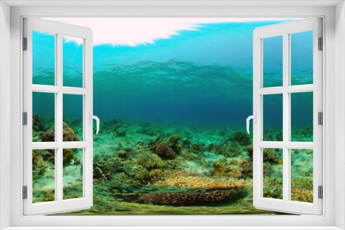 Fototapeta Naklejka Na Ścianę Okno 3D - Beautiful underwater world with coral reef and tropical fishes. Colourful tropical coral reef. Philippines. Travel vacation concept 360 panorama VR