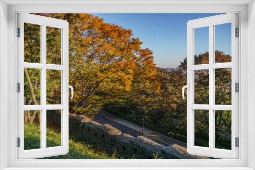 Fototapeta Naklejka Na Ścianę Okno 3D - autumn foliage