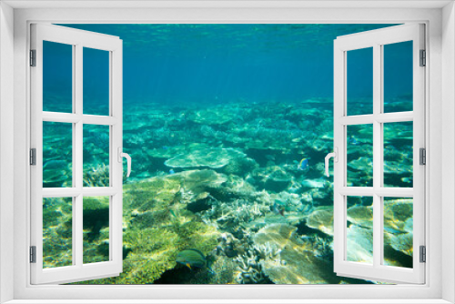 Fototapeta Naklejka Na Ścianę Okno 3D - Tranquil underwater scene with copy space
