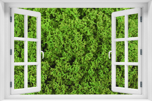 Fototapeta Naklejka Na Ścianę Okno 3D - Texture o f green stabilized moss for background