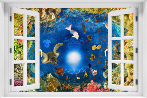 Fototapeta Naklejka Na Ścianę Okno 3D - underwater paradise background - coral reef wildlife nature collage with sea turtle and colorful fish background