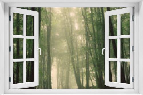 Fototapeta Naklejka Na Ścianę Okno 3D - path throught green woods