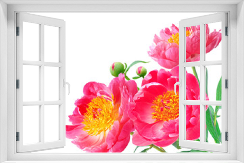 Fototapeta Naklejka Na Ścianę Okno 3D - Peony Flowers Bouquet over white background