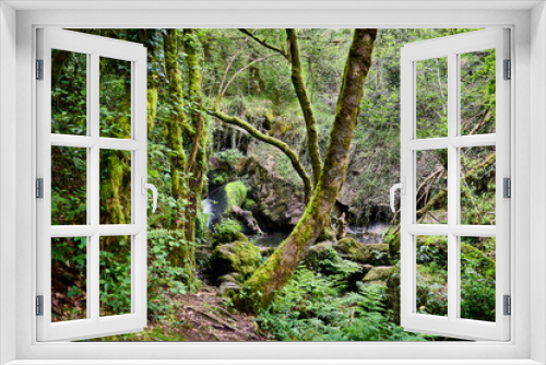 Fototapeta Naklejka Na Ścianę Okno 3D - River with waterfall in a lush forest