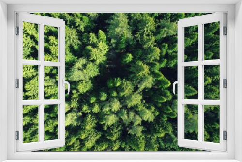 Fototapeta Naklejka Na Ścianę Okno 3D - Photos from the drone. Green coniferous forest from a height. Top view of the forest