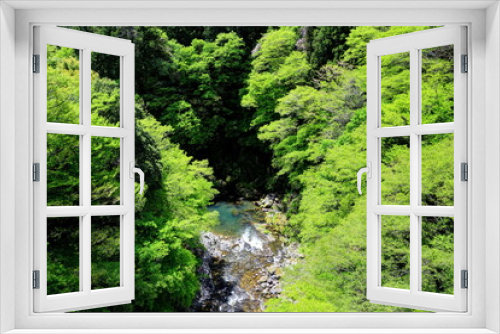 Fototapeta Naklejka Na Ścianę Okno 3D - 新緑の奥多摩川