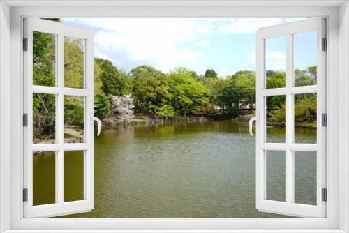 Fototapeta Naklejka Na Ścianę Okno 3D - Sagi-ike pond with Sakura, Cherry Blossoms, in Nara park, Japan, isolated - 日本 奈良 奈良公園 鷺池