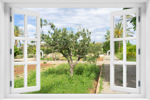 Fototapeta Naklejka Na Ścianę Okno 3D - Jardin hortícola en Sagunto