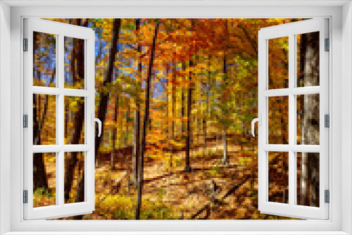 Fototapeta Naklejka Na Ścianę Okno 3D - Every imaginable fall colors captured - Central Canada, ON, Canada