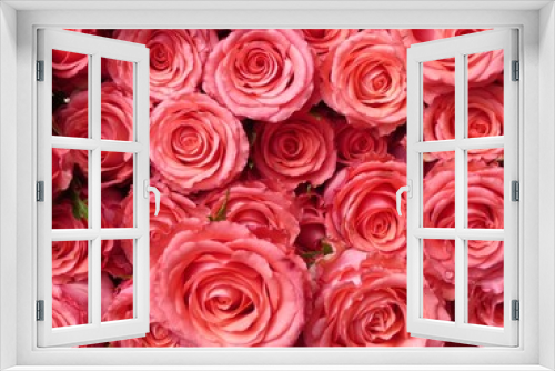 Fototapeta Naklejka Na Ścianę Okno 3D - Rosen rosa 5