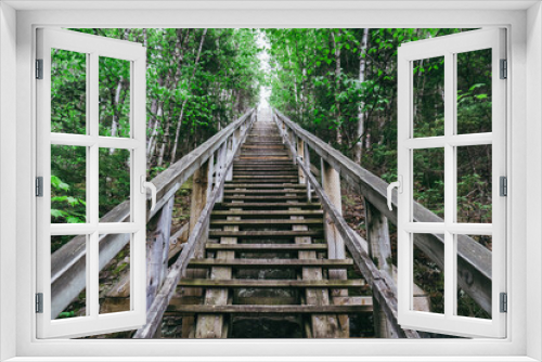 Fototapeta Naklejka Na Ścianę Okno 3D - The steep stairs of Les Escaliers de la Trinité that counts 250 steps. It lead to the top of the Montagne du College in La Pocatiere, Quebec (Canada)