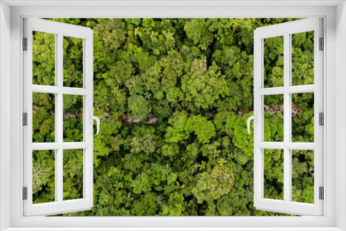 Fototapeta Naklejka Na Ścianę Okno 3D - Aerial panorama, a large panorama of a small stream running through the canopy from a tropical forest or the Amazon rainforest