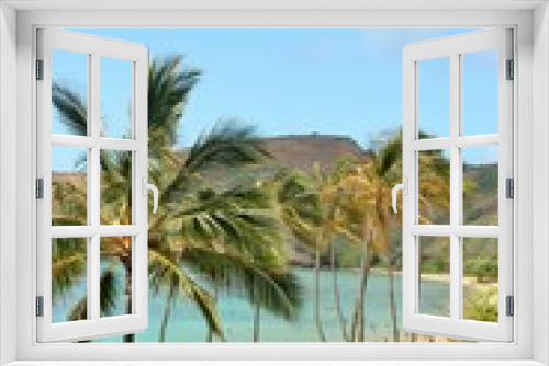 Fototapeta Naklejka Na Ścianę Okno 3D - Hanauma Bay palm trees