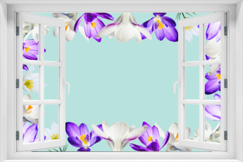 Fototapeta Naklejka Na Ścianę Okno 3D - Floral frame of white and purple crocus flowers on a blue background. Copy space.