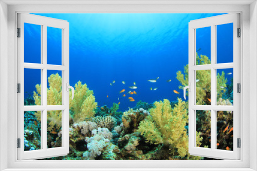 Fototapeta Naklejka Na Ścianę Okno 3D - Coral Reef Scene with Tropical Fish