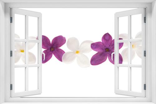 Fototapeta Naklejka Na Ścianę Okno 3D - lilac flowers isolated